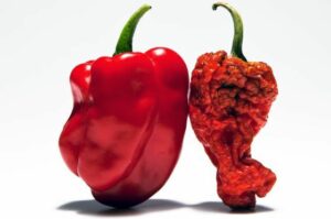 1424689087_733963_1424694016_noticia_normal