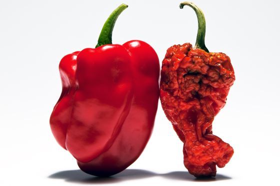 1424689087_733963_1424694016_noticia_normal