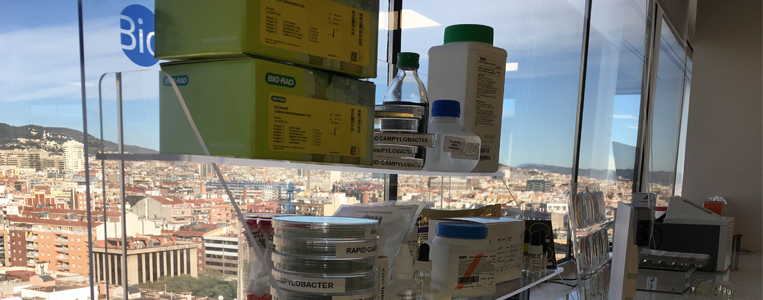 De la seguridad a la integridad alimentaria (Bioser)