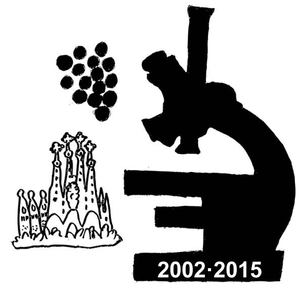 Logo_XIV_workshop_MRAMA