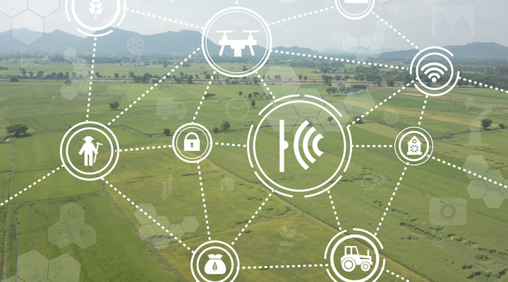 Tecnologia digital y seguridad alimentaria