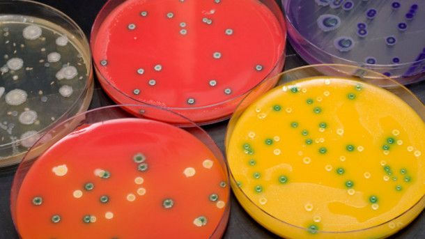 bioMerieux-compliance-with-EN-ISO-11133-2014-standard_strict_xxl