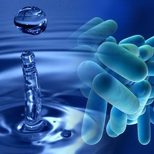 legionella nuevo casos manzanares