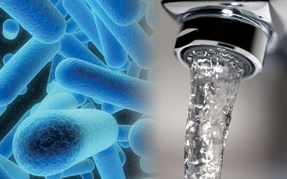 legionelosis_291215_consalud