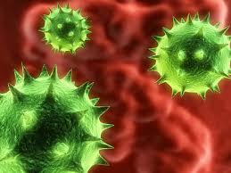 norovirus