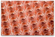 wells_hintergrund_red