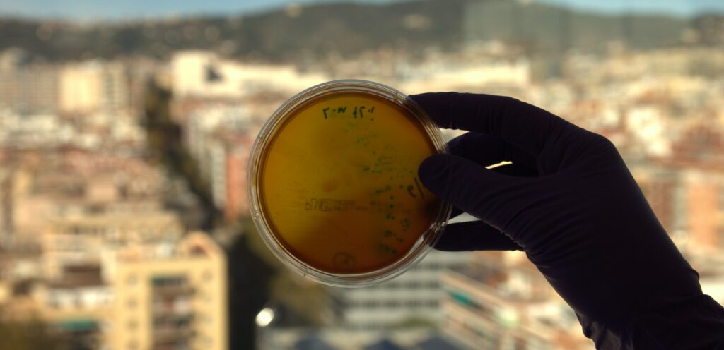 MEDIOS DE CULTIVO TRADICIONALES VS MEDIOS DE CULTIVO CROMOGÉNICOS