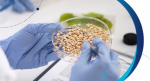 ¿Cómo garantizar la inocuidad de los alimentos del futuro?