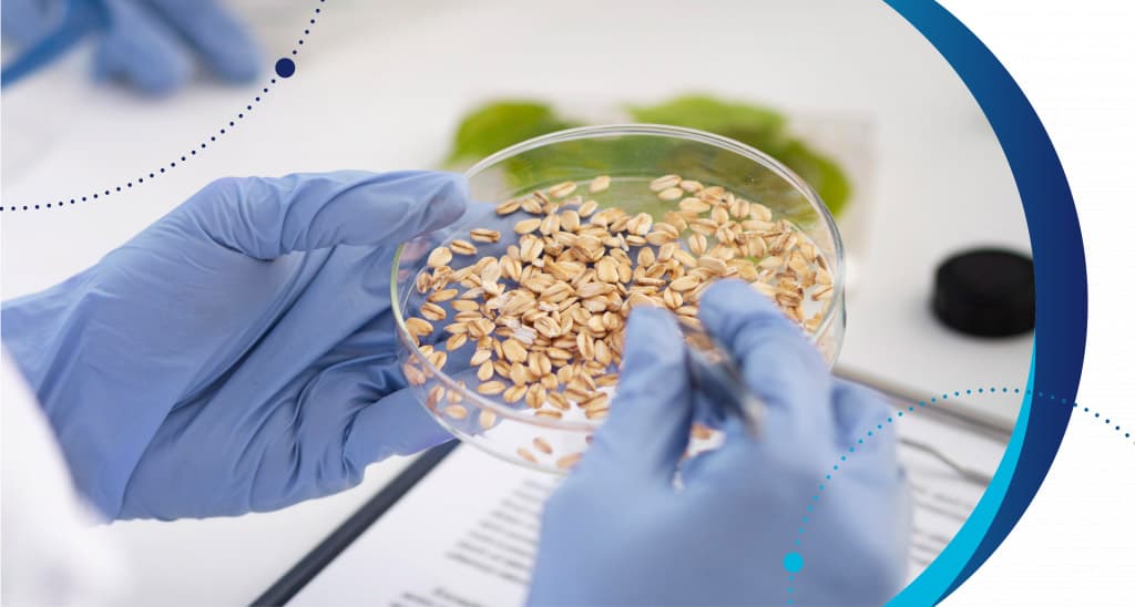 ¿Cómo garantizar la inocuidad de los alimentos del futuro?