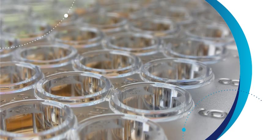 Kits rápidos ELISA para detección de patógenos