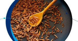 Proteínas alternativas