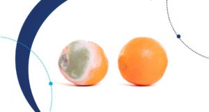 Deterioro de alimentos: Microorganismos responsables y alimentos afectados.