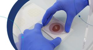 método completo para análisis de indicadores