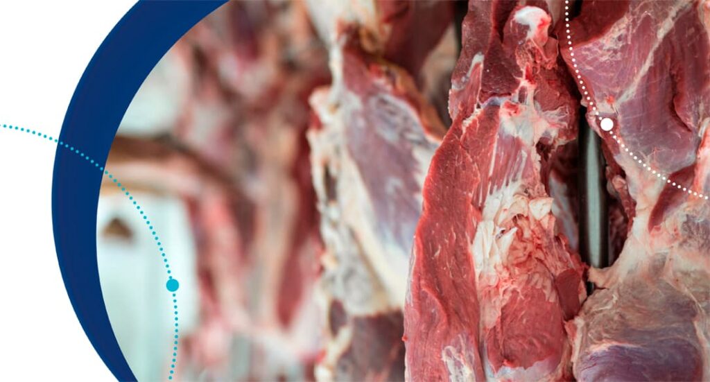 Métodos moleculares para detección de Listeria (Bioser Session)