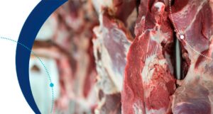 Métodos moleculares para detección de Listeria (Bioser Session)