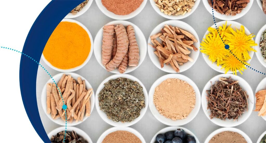 Productos Plant-Based: Un mercado al alza