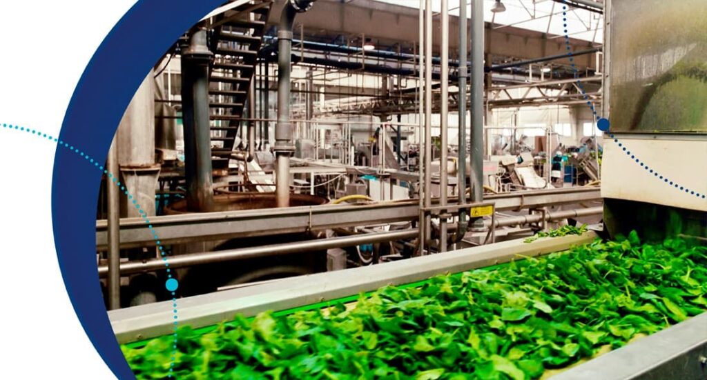 Industria alimentaria en España: Retos y oportunidades