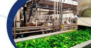 Industria alimentaria en España: Retos y oportunidades