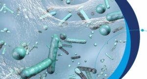 RD 487/2022: Prevención y control de legionelosis