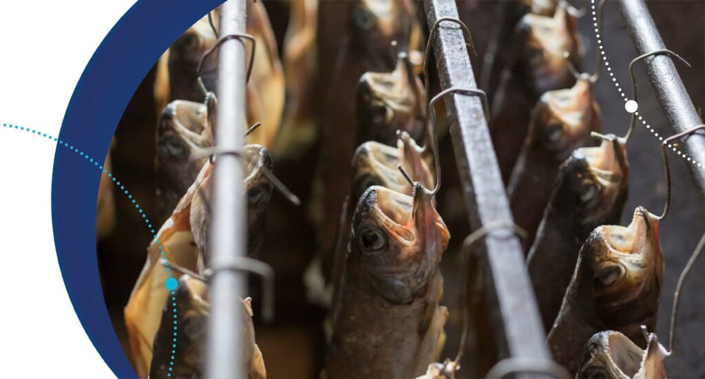 Microorganismos persistentes: un gran reto para la seguridad alimentaria