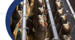 Microorganismos persistentes: un gran reto para la seguridad alimentaria