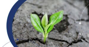 Fórum BSA 2024: ¡Con el agua al cuello! [Resumen completo]