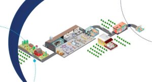 Estructuras Organizativas en Seguridad Alimentaria: La clave para el Éxito